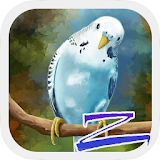 Cute Birds Launcher icon