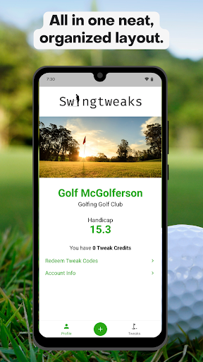 Screenshot of Swingtweaks