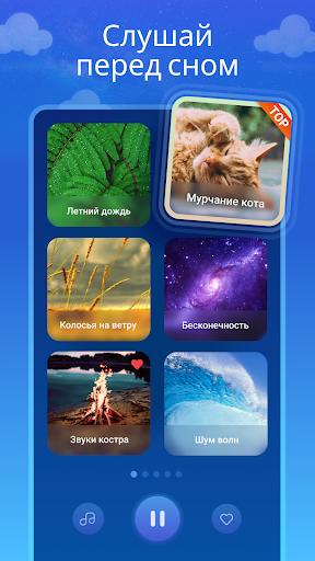 Предварительный просмотр приложения