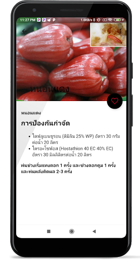 แมลงมัน - ยากำจัดแมลงยี่ห้อใหน