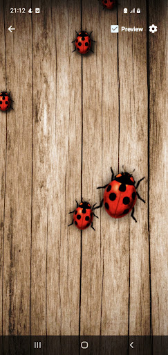 Ladybug Live Wallpaper Screen 2
