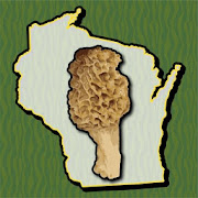 Wisconsin Mushroom Forager Map Morels Chanterelles