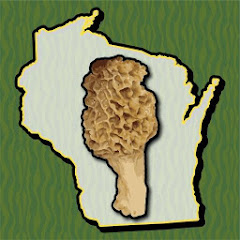 Wisconsin Mushroom Forager Map