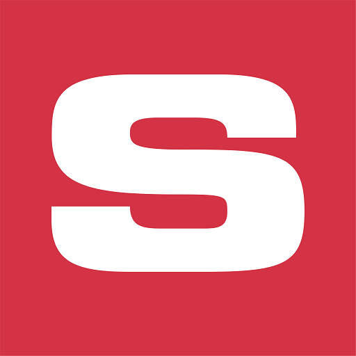 Synergy logo