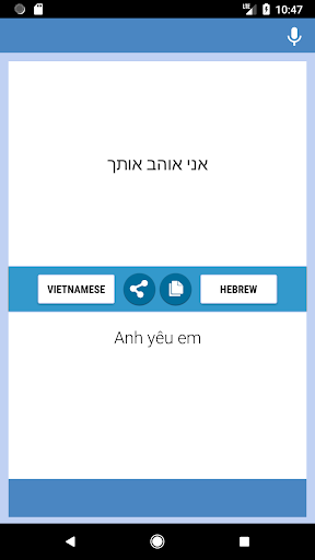 Vietnamese-Hebrew Translator Screen 2
