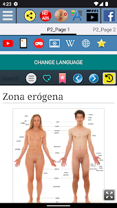 Zona Erógena - Anatomía