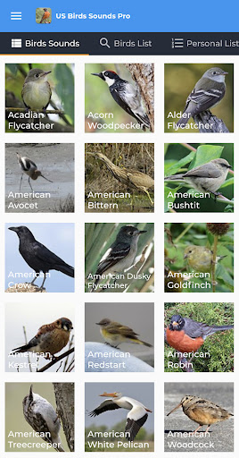 Android application American Birds Sounds Pro screenshort