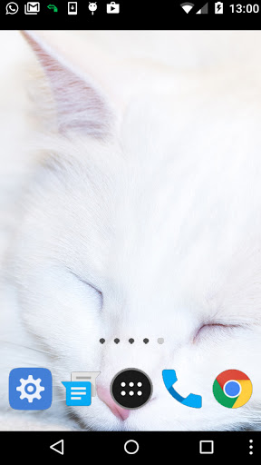 Android application sleeping cat wallpaper screenshort