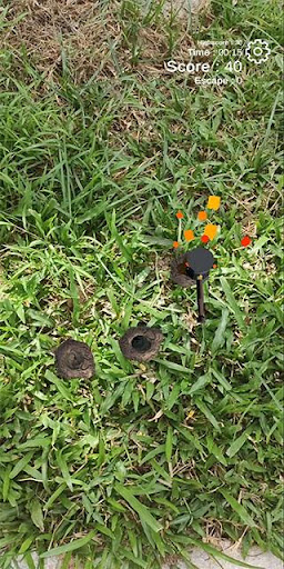 Whack A Mole AR Screen 2
