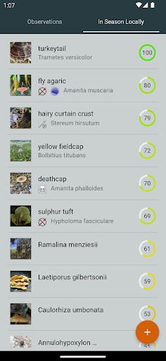 Android application FungID screenshort