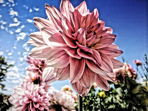 Screenshot of Simply HDR