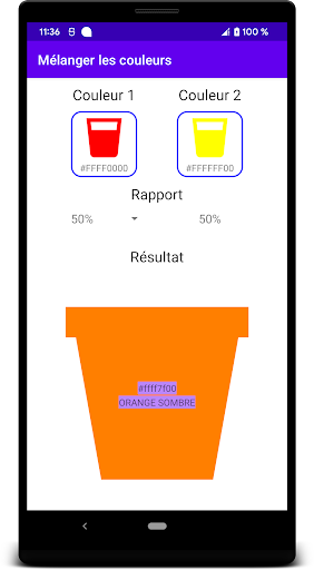Aperçu de l'application