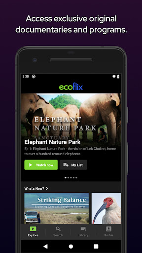Ecoflix Screen 2