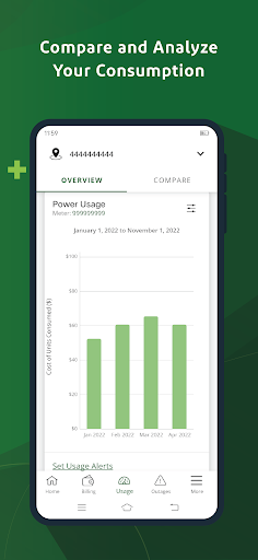 Screenshot of Santee Cooper’s My Energy Link