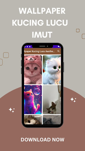 Wallpaper Kucing Imut dan Lucu