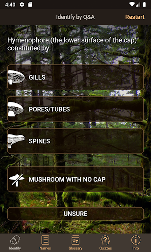 Android application iFungi AU - Australian mushroo screenshort