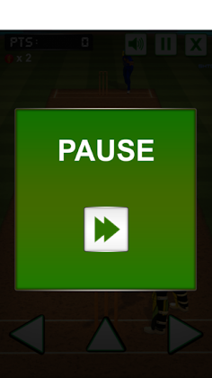 Cricket challenge Game 2020 - Screenshot 3