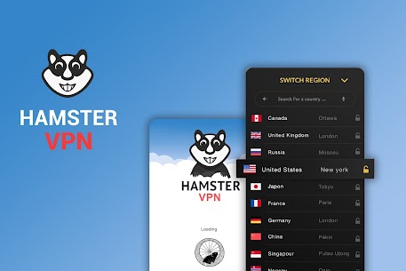 Hamster VPN Pro Paid Apk 5
