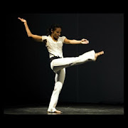 Adriana Carneiro - Info Dança, Pesquisa, Pedagogia