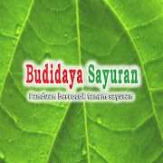 Hortikultura Budidaya Sayuran