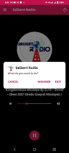 Salient Radio