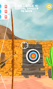 Archery Master Challenges