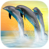 Dolphin Live Wallpapers icon