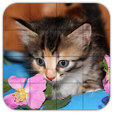Tile Puzzles · Kittens icon