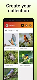 Picture Bird – Bird Identifier MOD APK (Premium Unlocked) 6