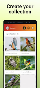 Picture Bird v2.9.18 (Premium Unlocked) Gallery 5