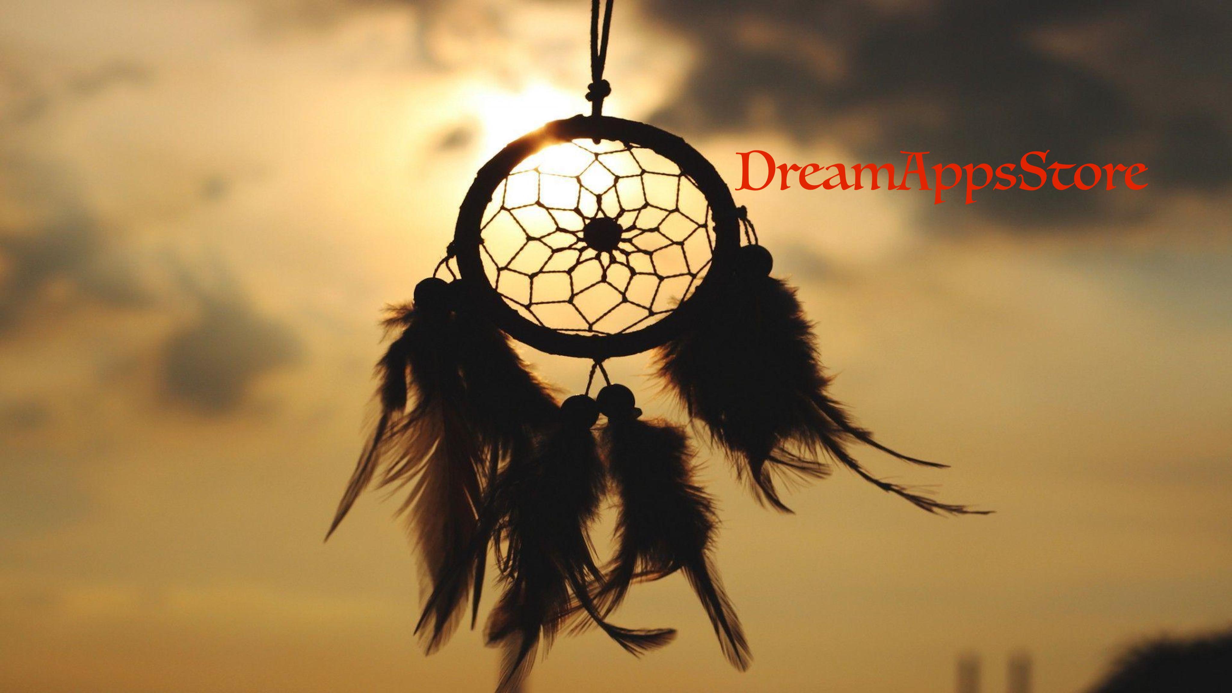 Ловец снов что это такое. Дреам Катчер Ловец снов. Ловец снов (Dreamcatcher), 2003. Ловец снов талисман. Индейский талисман Ловец снов.