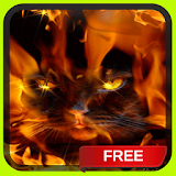 Fire Cat Live Wallpaper Theme icon