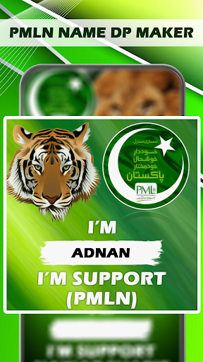 PMLN Name Dp Maker 2024