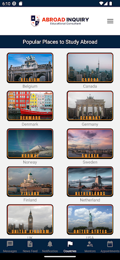 Abroad Inquiry Screen 2