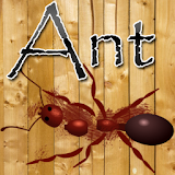 Ant Smasher Game icon
