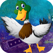 Best Escape Games 112 Mallard Duck Rescue Game 1.0.0 Icon