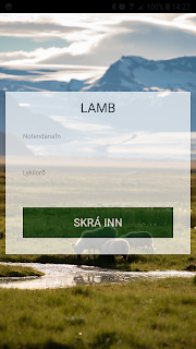 Lamb 2