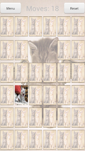 Cats Memory game
