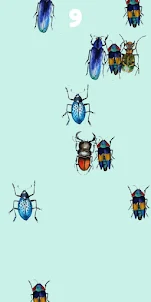 Annoying beetles