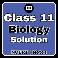 Class 11 Biology Solution MCQ