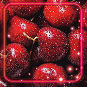 Berries Summer Live Wallpaper