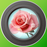 FlowerNote icon