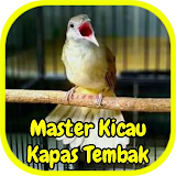 Master Kicau Kapas Tembak icon