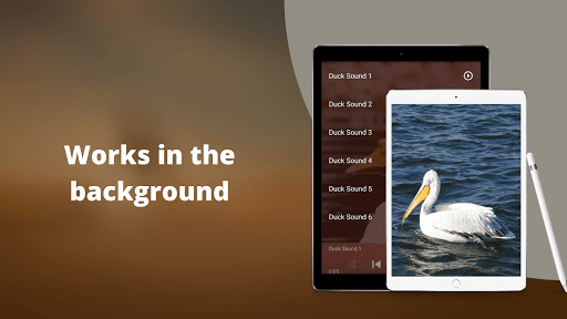 Duck Sounds Screen 3