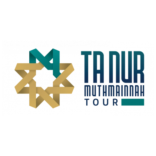 Tanur Travel Solo logo