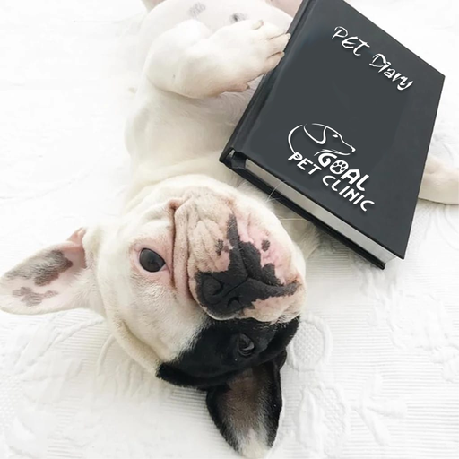 GOAL - PET DIARY logo