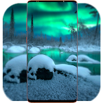 Cover Image of Download Winter Night Wallpaper  APK