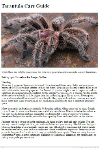 Pet Tarantula Care Guide Screen 3