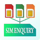 SIM Enquiry Numbers USSD Codes icon