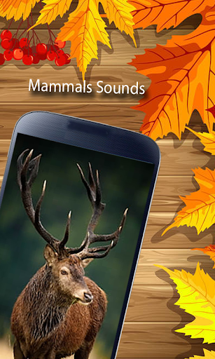 [Updated] Real Animal Sounds – Loud Animals Noise Effects for PC / Mac